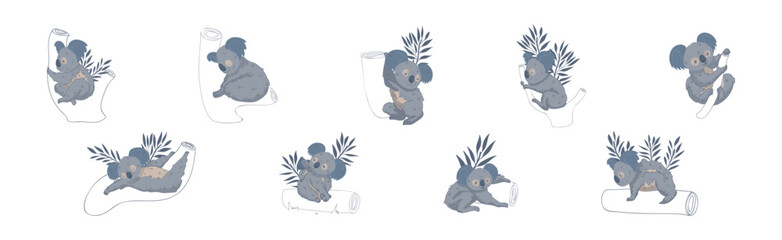 Adorable Koala in Various Pose with Tree Trunk Vector Set