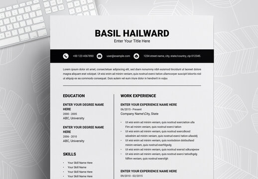 Data Company Resume Design Layout