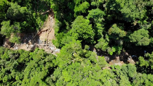 Aerial view of a river flowing through a tropical forest, shot from above