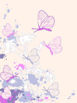 colored abstract floral background with camomiles and butterflies