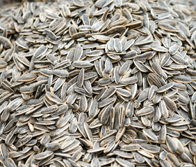 Black and white sunflower seeds with shell close-up.
