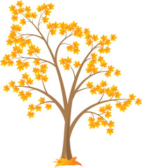 Vector deciduous tree, isolated on a white background.