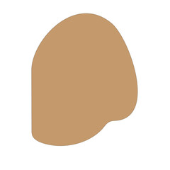 Abstract Shape