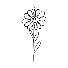 Continuous one line art drawing of beauty daisy flower