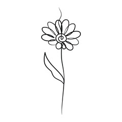 Continuous one line art drawing of beauty daisy flower