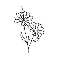 Continuous one line art drawing of beauty daisy flower