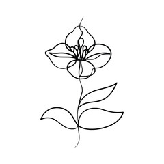 Continuous one line art drawing of beauty jasmine flower