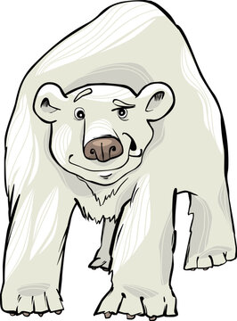 cartoon illustration of funny white polar bear