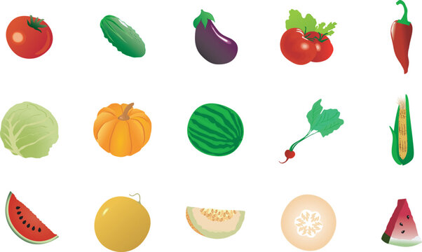 The big set of the different vegetables