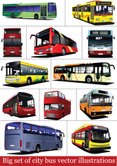 Big set of City buses. Tourist coach. Vector illustration for designers
