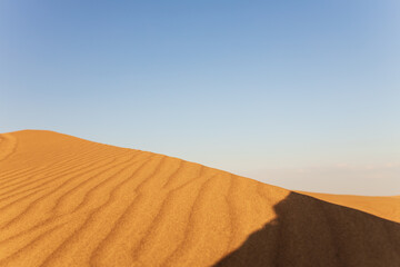 A dune landscape in the Rub al Khali or Empty Quarter at golden sunset time and nobody around