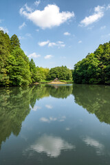 茨城県水戸市　新緑の七ツ洞公園