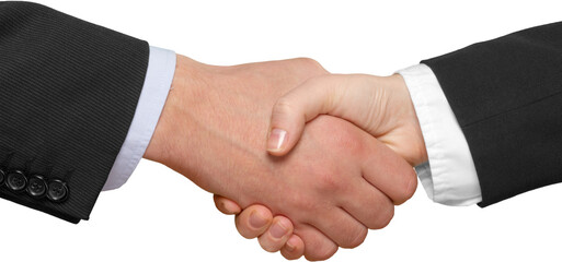 A young business couple Handshake