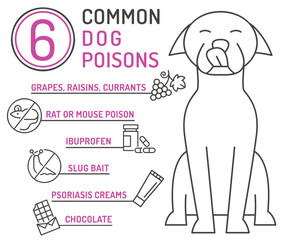 What is poisonous to dogs. Editable vector illustration