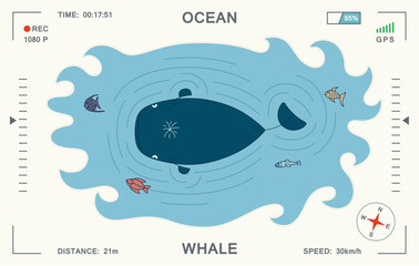 Children's cartoon illustration with a whale in the ocean. Top view. Video surveillance with a drone from above. Vector template