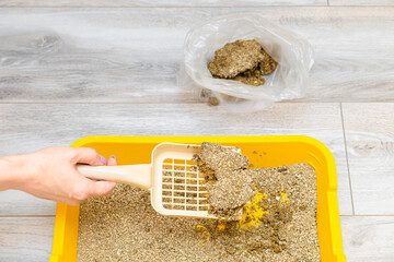 a woman cleans the cat litter with a shovel, transferring waste to a bag.