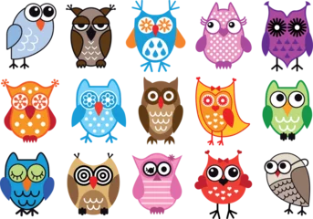 Fotobehang set of colorful owls, vector illustration © Designpics