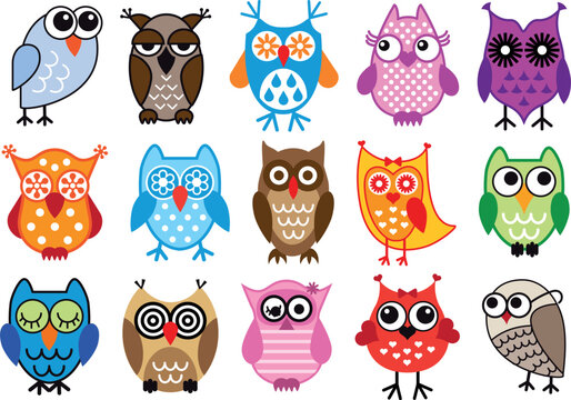 set of colorful owls, vector illustration