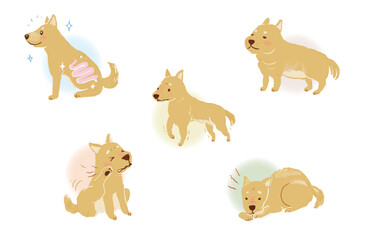 犬の健康、不健康、ペットの不調あれこれ