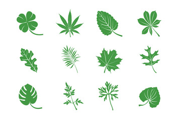 Leaves vector