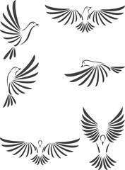 Obraz premium Dove vector illustration