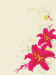 hand drawn vector floral background with lily and ornament