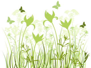 Fototapeta na wymiar vector green floral background with butterflies