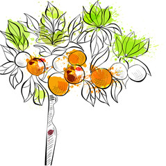 Decorative background with tangerine tree
