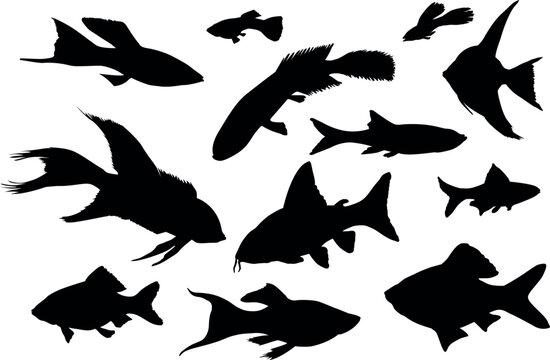 Vector fish silhouettes isolated