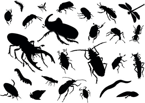 Vector silhouettes of insects