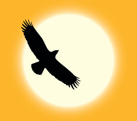 Naklejka na ściany i meble Silhouette of flying eagle on sun background