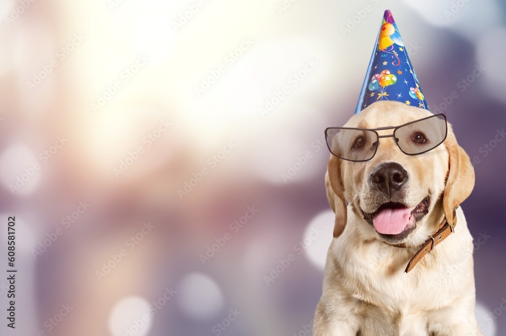 Sticker Happy Birthday dog in hat and eyeglasses