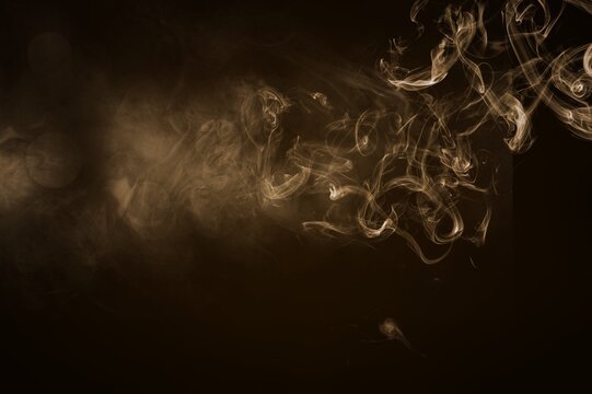 White smake on abstract dark background.