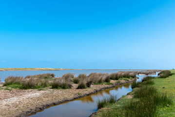 Naturschutzgebiet Grüner Brink auf Fehmarn.