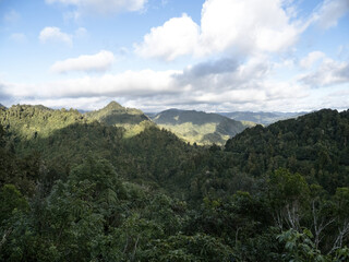 Te Urewera rainforest and mountains