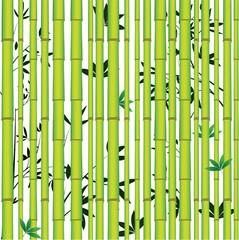 Bamboo seamless asian tropic forest. Wood vector leaf background.