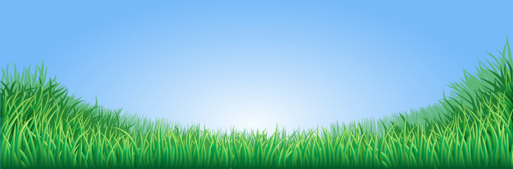 A lush green field meadow or lawn with bright blue sky