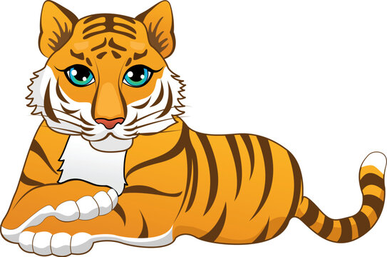 tiger on the white background