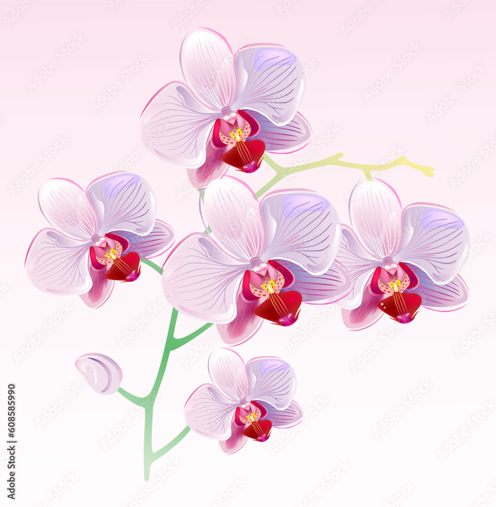 Sticker vector illustration of orchids and butterflies on spring background