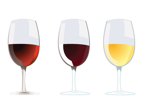 wine vector