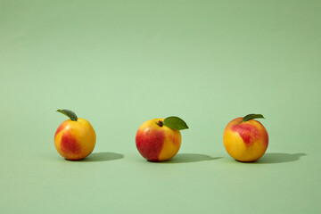 Front view of three colorful peaches (prunus persica) still green petioles arranged on a light...