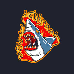 Hand drawn illustration of a shark with fire