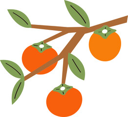 persimmon tree