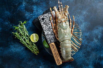 Spiny lobster on a wooden cutting board, raw seafood. Blue background. Top view