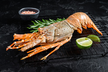 Boiled Spiny lobster or sea crayfish ready for eat. Black background. Top view