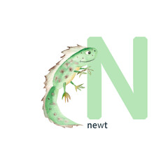 Letter N, newt, cute kids animal ABC alphabet. Watercolor illustration isolated on white background. Can be used for alphabet or cards for kids learning English vocabulary and handwriting