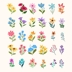 Fototapeta na wymiar flowers collection. collection of various kind of flowers.