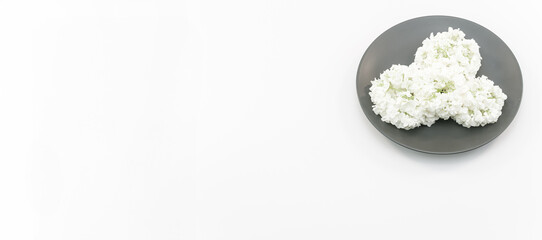immagine primo piano con gruppo di fiori bianchi di ortensia annabelle sfioriti e piatto in...