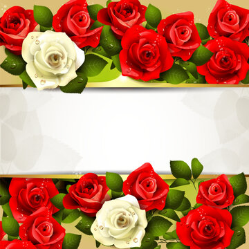 Background with red and white roses