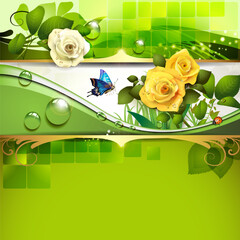Springtime background with roses and butterfly